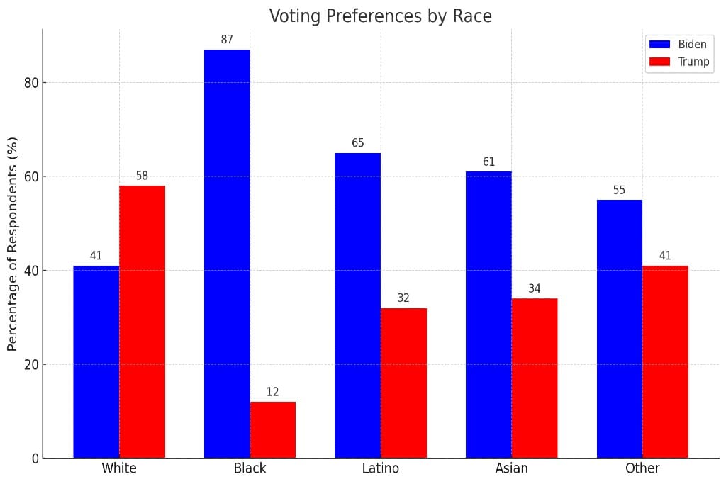 US 20202 Elections