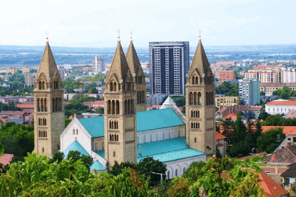 University of Pécs
