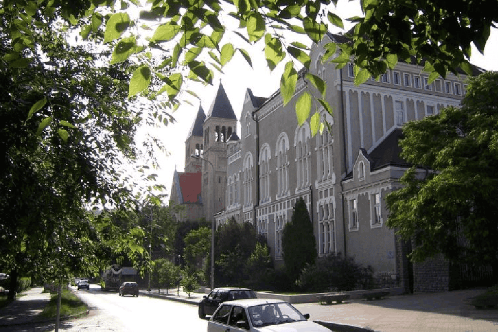 University of Pécs Medical School
