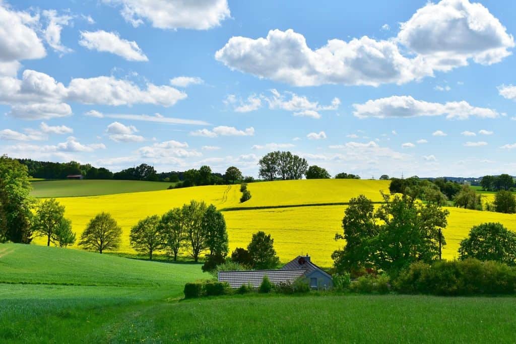 Weather in Ireland