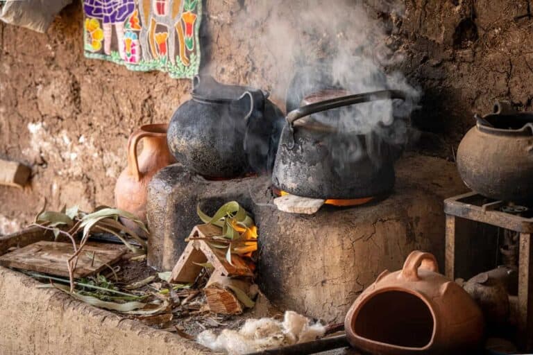 History of Cooking