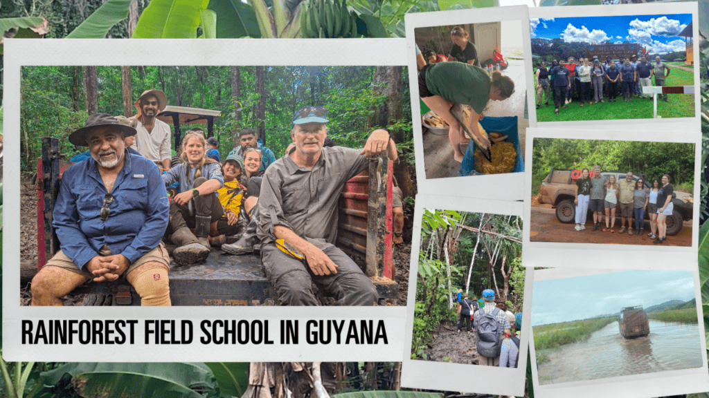 Collage of photos of students and professors in the rainforest field school in Guyana. Photos are of them studying, travelling in the back of a truck, driving through a river, walking through the jungle, standing in front of the Eco Lodge sign